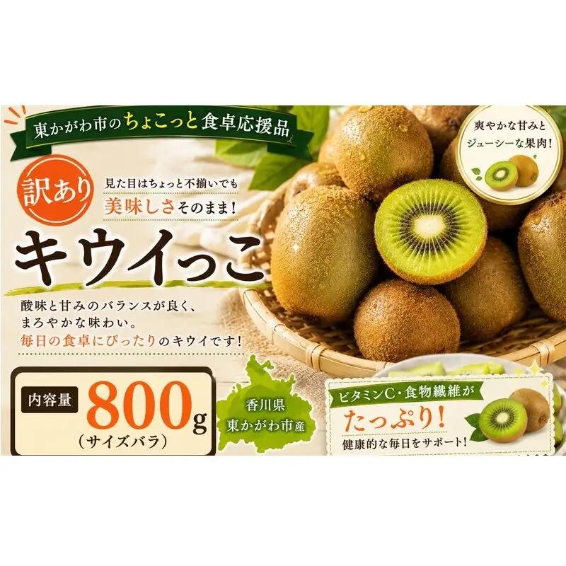 キウイ キウイっこ 香川県産 キウイ【800g】