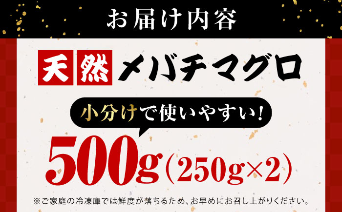 まぐろ ねぎとろ 約500g（約250g×2パック）【横須賀商工会議所 おもてなしギフト事務局（本まぐろ直売所 横須賀本店）】 [AKAK120]