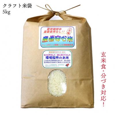 ふるさと納税 糸島市 農薬使わない栽培! 糸島産 夢つくし 5kg 米 糸島市[ABB025] |  | 01