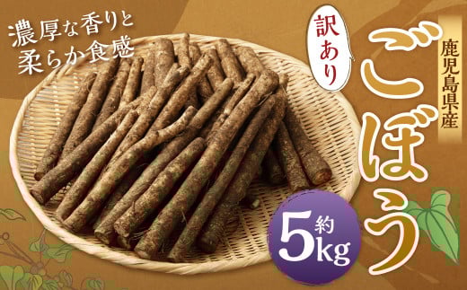 AS-075 鹿児島県産 土付き ごぼう 約5kg【規格外・訳あり品】【2026年1月上旬～3月下旬発送予定】
