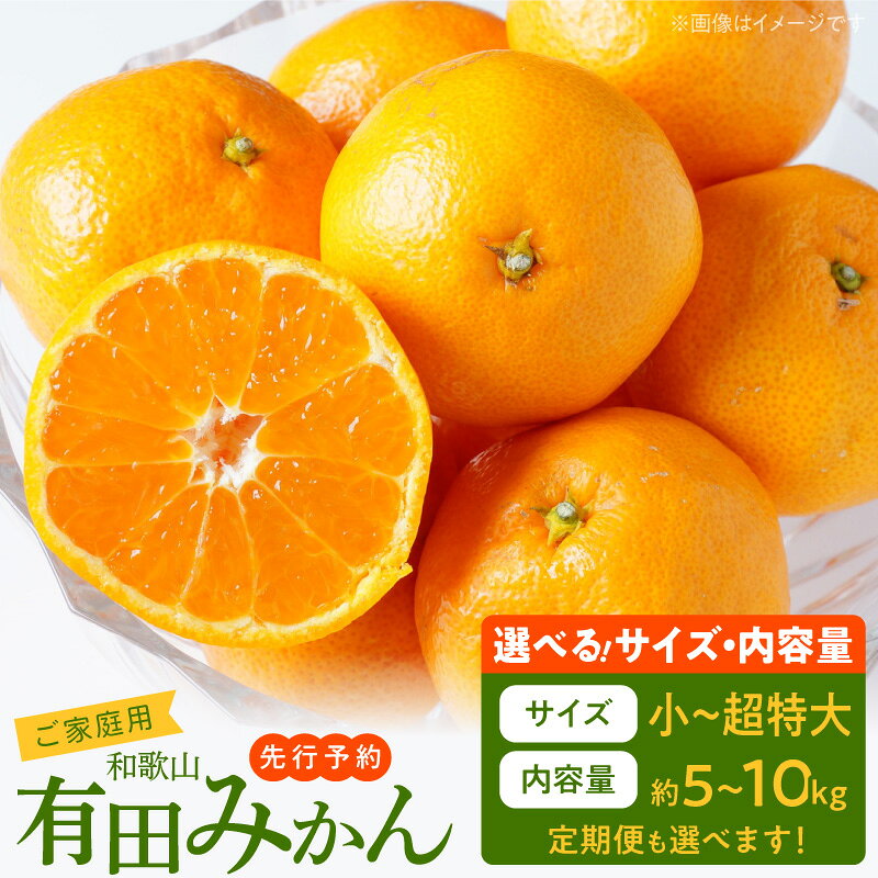 【ふるさと納税】【限定】 【2026年先行予約】 TVで紹介 高評価 ご家庭用 有田みかん 選べる サイズ 内容量 2S ～ 3L 約 5kg ～ 10kg 3回 お届け 定期便 温州みかん 有田 みかん 国産 フルーツ 柑橘 果物 甘味 酸味 バランス 期間限定 お取り寄せ 和歌山県 湯浅町 送料無料