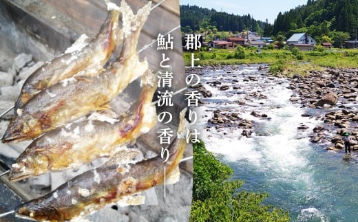 【尾数が選べる】郡上鮎 長良川の天然鮎 小小サイズ(約16ｃｍ) 25尾 / 食品 魚介類 水産加工品 その他水産物 鮎 アユ 30000円 G0074e