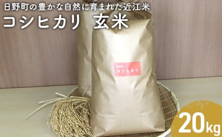 【令和5年産】 コシヒカリ 玄米20kg