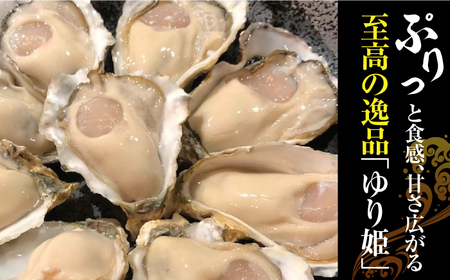 竹崎産 ブランド生牡蠣「ゆり姫」5kg（ナイフ付き） / 佐賀県 / 宗徳丸 [41ATAF004]