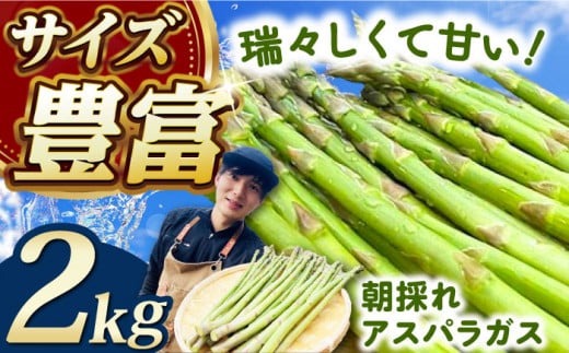 朝採れアスパラガス2kg 《対馬市》【農家くんのアスパラファーム】  冷蔵 アスパラ あすぱら とれたて 新鮮 野菜 産地直送 [WCT002]