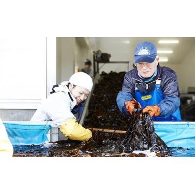ふるさと納税 陸前高田市 広田湾漁協からお届け!塩蔵こんぶ 300g×4袋 |  | 01