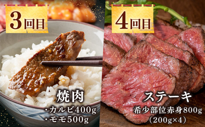 【全12回定期便】《50万》 壱岐牛＆長崎和牛 ギュギュギュ 定期便 （壱）《壱岐市》 肉 ステーキ 焼肉 しゃぶしゃぶ すき焼き 赤身 [JZX010]