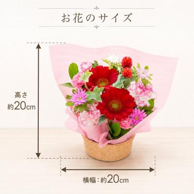 ふるさと納税 豊橋市 季節のフラワーアレンジメント　Sサイズ　ピンク&レッド系の色合い |  | 01