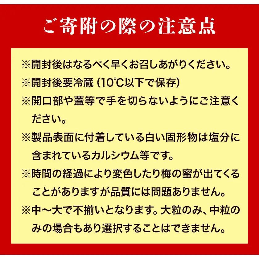 3年熟成 規格外品 昔ながらの 梅干し 約800g 農業法人 株式会社紀州梅香