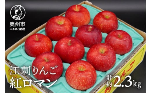 
            数量限定 江刺りんご 紅ロマン 2.3kg(8～11玉) 【8月下旬以降お届け】フルーツ 林檎 冷蔵配送 離島配送不可 [AQ021]
          