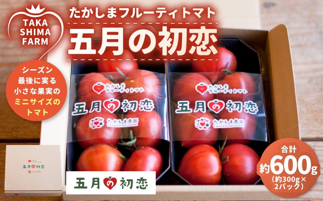 
            たかしまフルーティトマト 【糖度9度以上】 「五月の初恋」 約300gパック×2個 計約600g 化粧箱×1箱 ／ フルーティートマト フルーツトマト トマト とまと 野菜 やさい サラダ 料理 【2026年3月下旬～5月下旬発送予定】
          