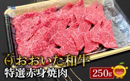 おおいた和牛 特選赤身焼肉 250g 牛肉 和牛 ブランド牛 黒毛和牛 ミスジ サンカク もも肉 赤身肉 焼き肉 焼肉 バーベキュー 大分県産　豊後牛  九州産 津久見市 熨斗対応　