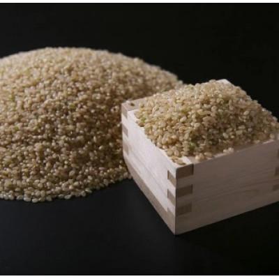 ふるさと納税 伊万里市 【毎月定期便】佐賀県産ゆめしずく(特A) 玄米5kg全3回 |  | 02