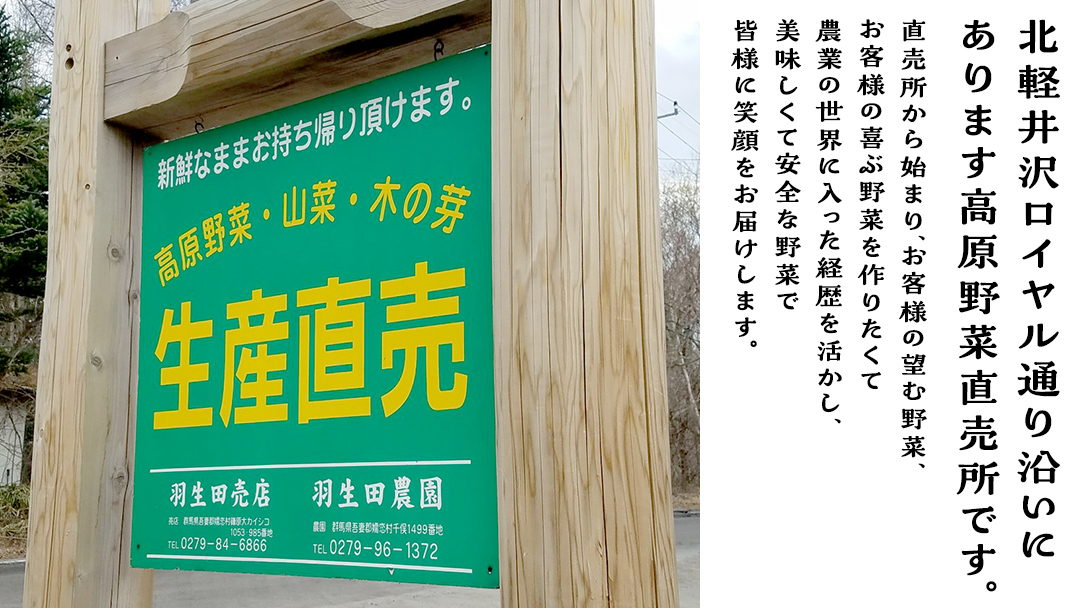【 8月 上旬発送開始】 甘～いトウモロコシ 恵味 5kg 約10～12本 とうもろこし 産地直送 期間限定 先行予約 人気 朝採り お取り寄せ 関東 群馬 [AL005tu]