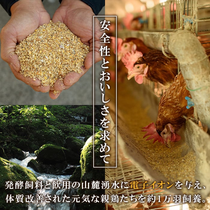 《数量限定》鹿児島県産！健康電子卵(計60個・10個入り×6P) 国産 九州産 たまご タマゴ 玉子 生たまご 親鳥 親鶏 新鮮 鶏卵 常温 小分け パック 朝ごはん 卵かけごはん TKG おかず 卵