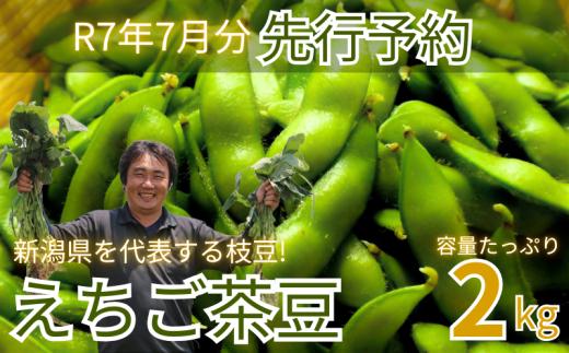 【先行予約】新発田市産枝豆 えちご茶豆 2kg 早期予約 予約 来夏 茶豆 枝豆 えだまめ ちゃまめ 新潟の枝豆 新発田の枝豆 新潟 新発田 2kg 数量限定 genzou002