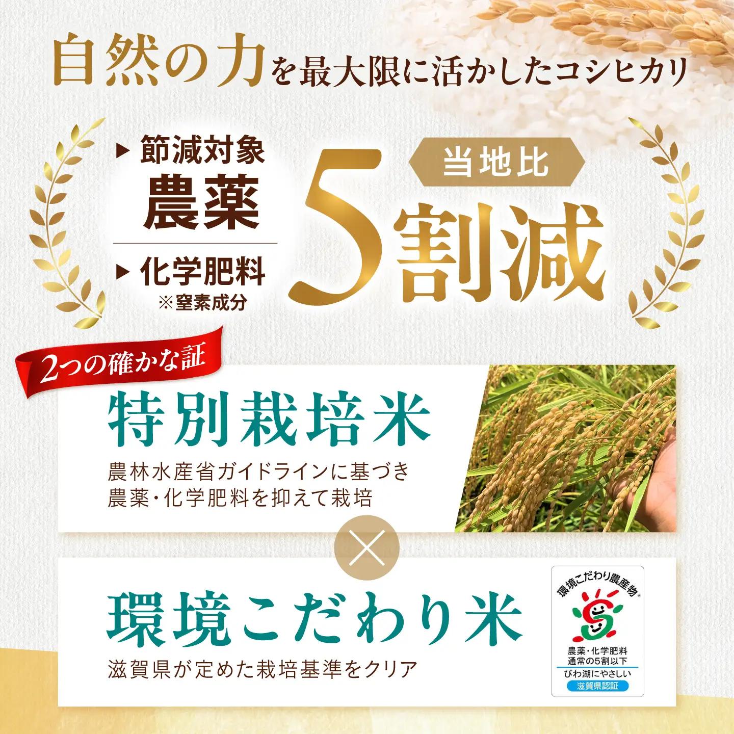 ＜先行予約＞特別栽培米コシヒカリ10kg 玄米[AQEB006]