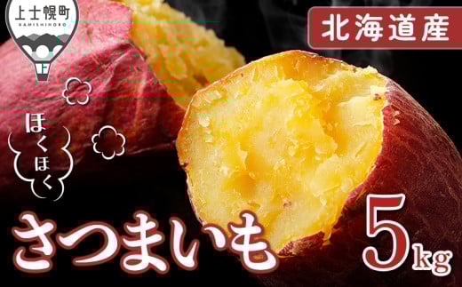北海道産 さつまいも 計5kg 北海道 上士幌町 須田農場 野菜 産地直送 ◆2025年11月下旬発送開始予定 ［016-V60］ ※オンライン申請対応