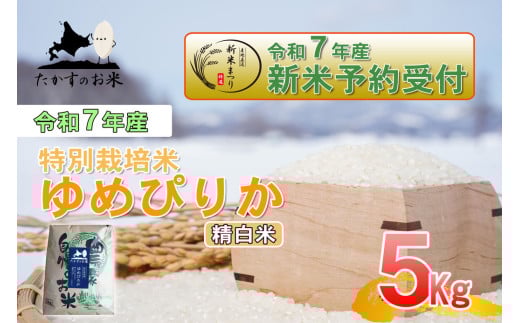 【令和7年産】 ゆめぴりか (精白米) 特Aランク 北海道 米 を代表する人気の品種 5kg 【2025年10月上旬発送開始】 北海道 鷹栖町 たかすのお米
