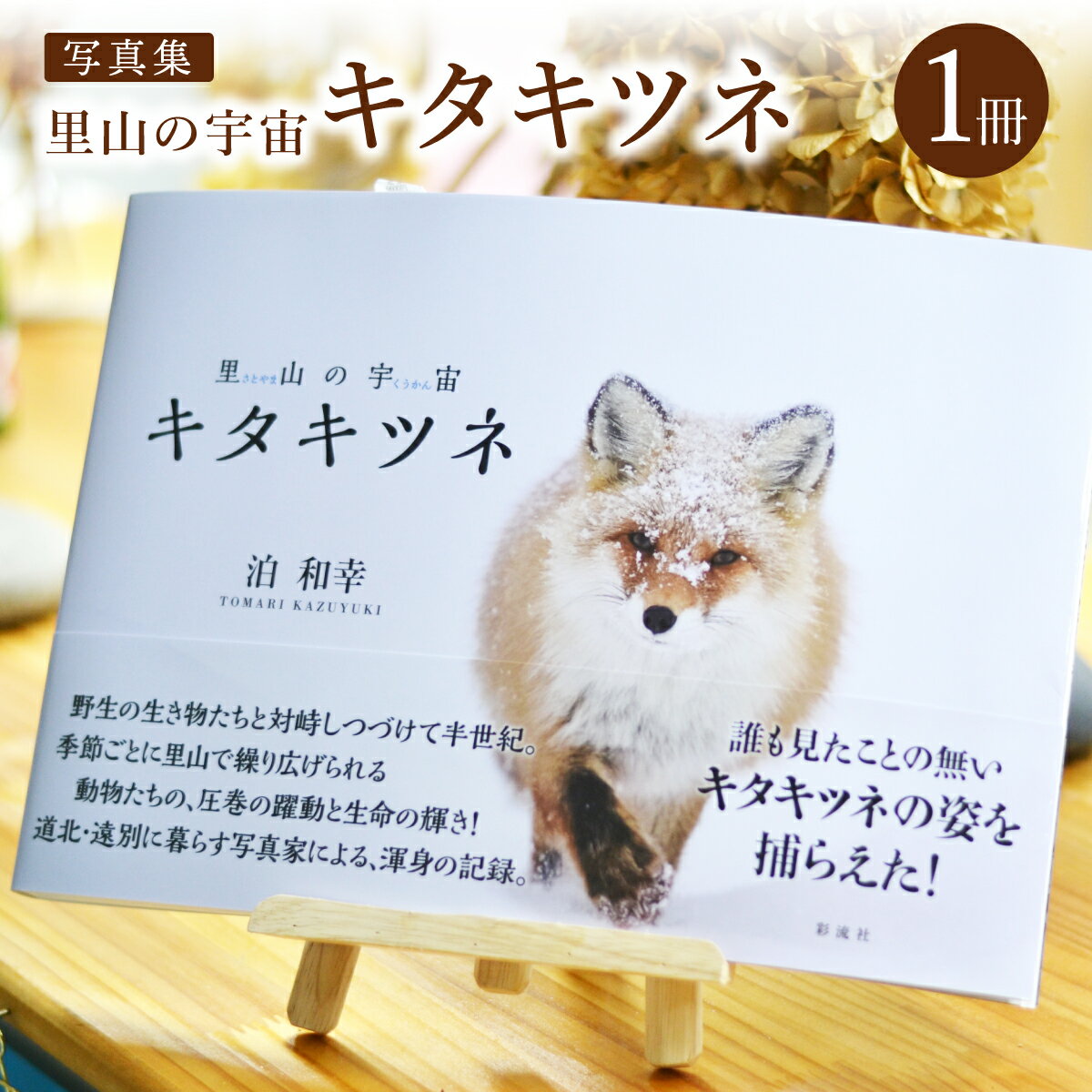 【ふるさと納税】里山の宇宙（さとやまのくうかん）キタキツネ【写真集】 自然 動物 キタキツネ キツネ 写真 写真集 北海道 遠別町