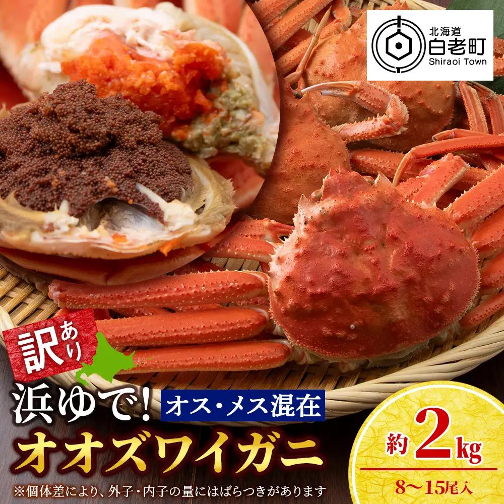 【7営業日以内発送】訳あり オオズワイガニオスメス混在 浜ゆで （8-15尾）2kg 北海道産 AS228