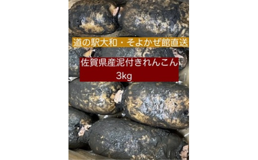 
                  農家直送　佐賀県産泥付きれんこん３㎏
                