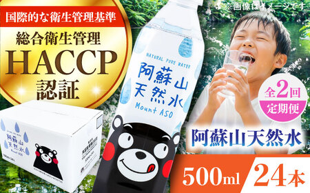 【全2回定期便】阿蘇山天然水 500ml 24本×1ケース 防災 BHDG007 防災