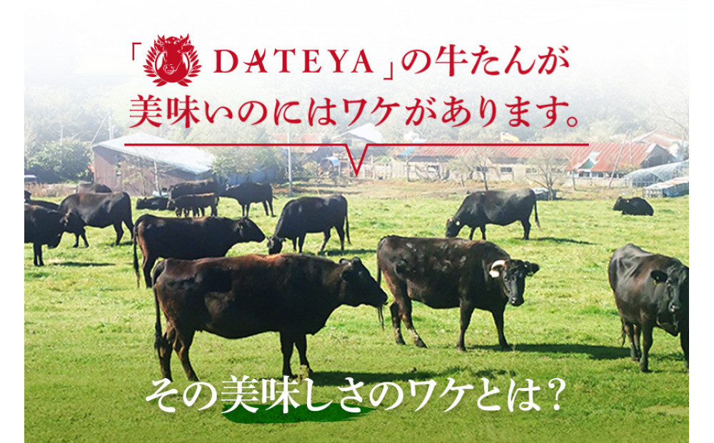 【5営業日以内発送　12/10決済分】【本場仙台専門店の味】牛タン 切り落とし 250g  | 仙台名物 牛たん 塩味 薄切り 牛肉 牛たん 熟成 牛タン 焼肉 バーベキュー BBQ 小分け お取り寄