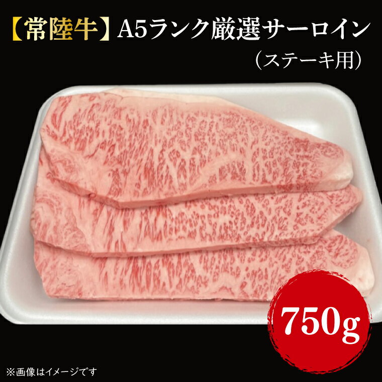 【ふるさと納税】【常陸牛】A5ランク厳選サーロイン(ステーキ用)250g×3｜肉 お肉 肉類 サーロイン サーロインステーキ ステーキ バーベキュー BBQ キャンプ 常陸牛 厳選 A5 贅沢 茨城県 行方市(FL-11)