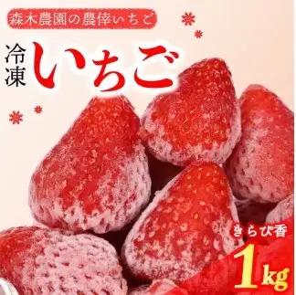冷凍いちご 1kg きらぴ香 冷凍いちご 【森木農園】