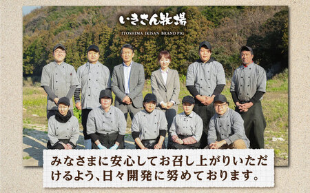 【お中元対象】一貴山豚 とんバーグ 12個（ 6個 × 2種 ）[AGB003]