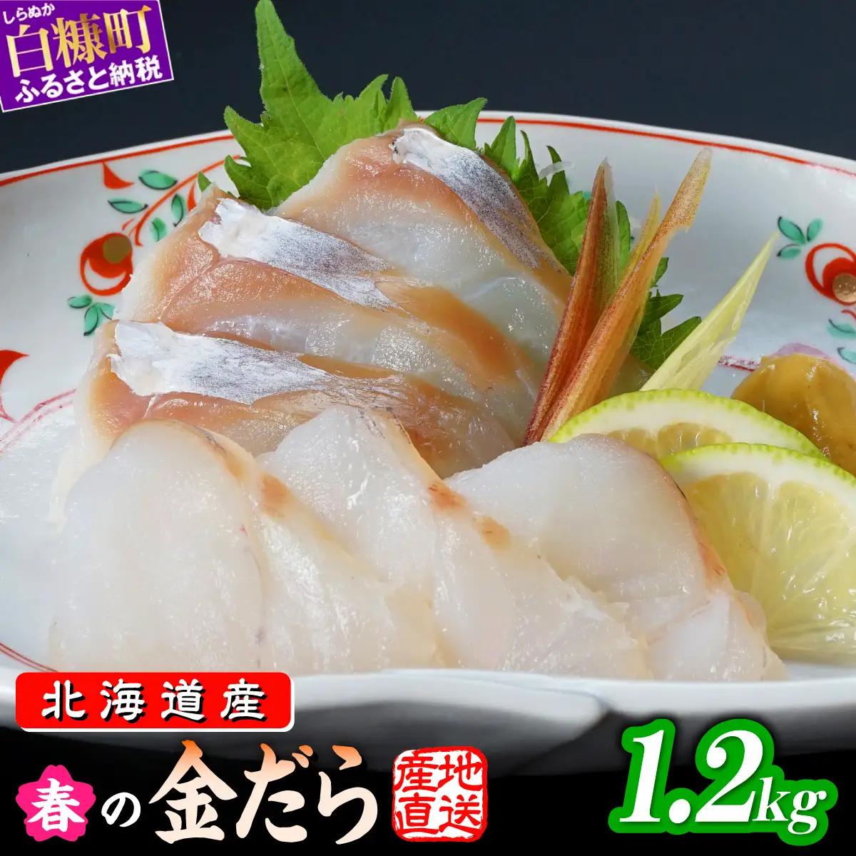 春の金だら 1.2kg フィレ たら 鱈 北海道産 ふるさと納税 刺身 魚 魚介 海鮮 国産 人気 北海道 白糠町_A020-1800