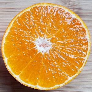 【2025年11月以降発送】ゼリーのような食感!「媛一まどんな」約3.5kg入【C28-22】【配送不可地域：離島】【1046127】