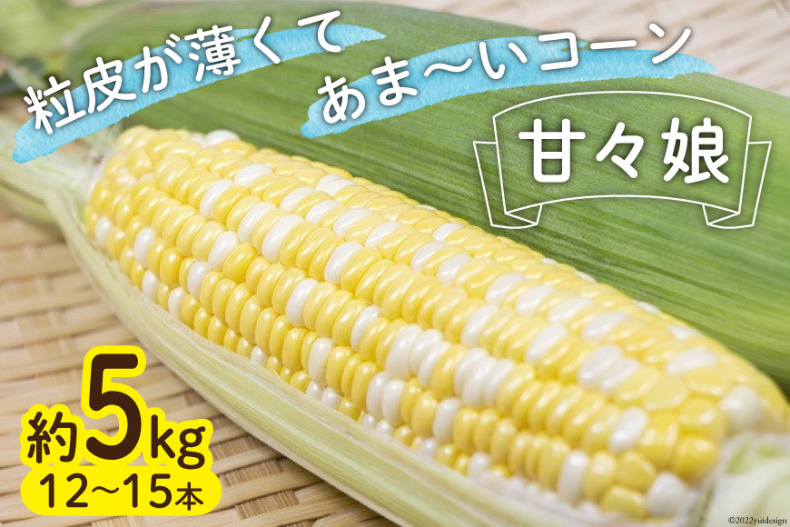 
            【期間限定発送】甘々娘 約5kg（12本～15本） ／ 泉農園 とうもろこし トウモロコシ スイートコーン コーン 新鮮 野菜 季節限定 山梨県 中央市
          