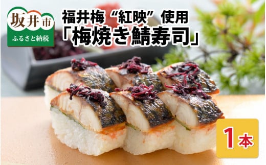 福井梅“紅映”使用 「梅焼き鯖寿司」 1本 約290g ～家族が喜ぶ手土産～  【名物 ジューシー 焼きさば 押し寿司 さば寿司 ウメ うめ すし こしひかり 贈答 ギフト お土産 大人気】 [A-0555]