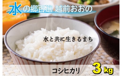 【先行予約】【令和7年産  新米】こしひかり（福井県大野市産）エコファーマー（白米）3kg