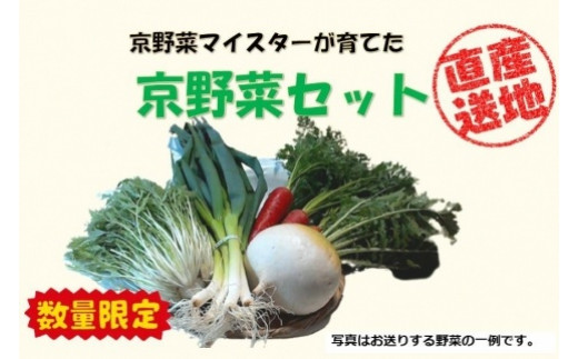 
先行予約【京やさい佐伯】京野菜セット ＜数量限定＞
