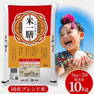 ふるさと納税 宮崎市 国産ブレンド米 「米一膳」10kg(5kg×2袋)