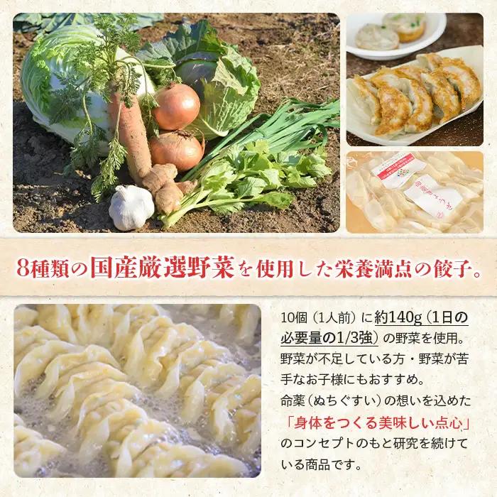【なかしべつミルキーポーク100％使用】 樹苞 命薬ぎょうざ15個（約1.5人前）【5301102】