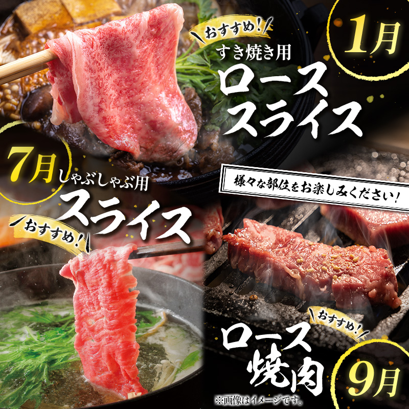 宮崎県産黒毛和牛 12か月定期便 牛肉 焼肉 ステーキ 国産【F78-25】_イメージ3