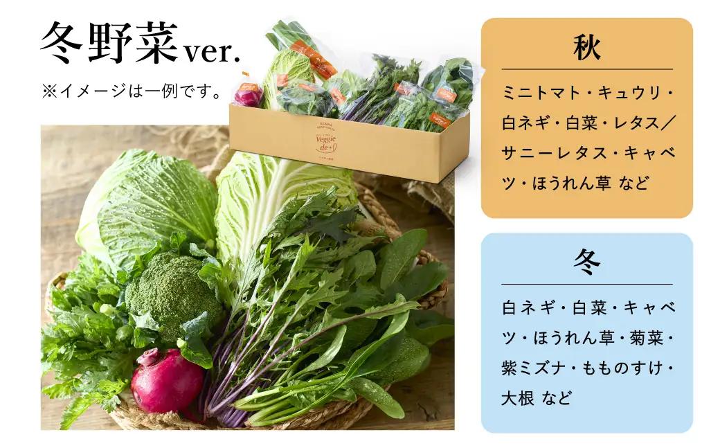 ベジプラ特選 旬の野菜セット 定期便：12回 毎月お届け Veggie de＋