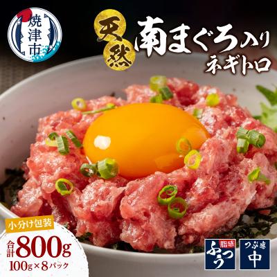 ふるさと納税 焼津市 ミナミマグロ入り マグロのたたき 焼津 海の極 ネギトロ 冷凍(100g×8)(a13-135)