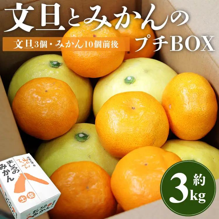 文旦とみかんのプチBOX 約3kg - 果物 くだもの フルーツ 柑橘類 ぶんたん ブンタン ミカン 詰め合わせ つめあわせ セット 食べ比べ お楽しみ おいしい 特産品 ms-0088