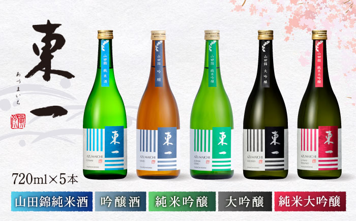 東一 厳選 セット 720ml×5種 / 日本酒 酒 お酒 地酒 酒蔵 飲み比べ 【嬉野酒店】 [NBQ018]