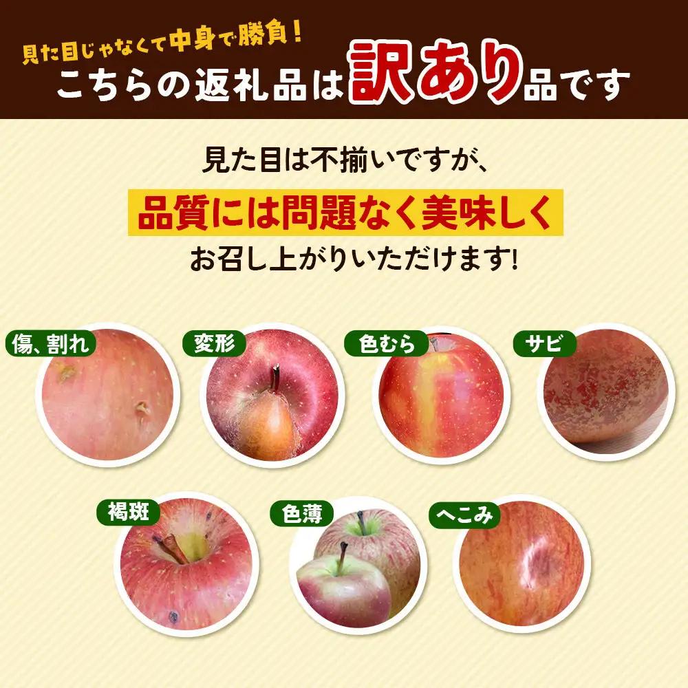 りんご 有袋ふじ 訳あり 約5kg【5月クール便発送】りんご
