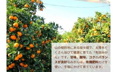 ＼光センサー選別／こだわりの有田みかん 約4kg【ご家庭用】有機質肥料100% ふるさと納税 みかん ※2024年11月中旬～2025年1月上旬頃に順次発送予定 ※沖縄・離島への配送不可