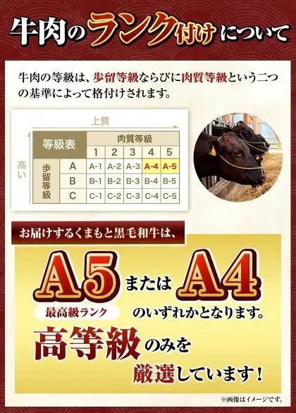 くまもと黒毛和牛 サーロイン リブロース 内モモ 希少部位 500g 牛肉 焼肉用 冷凍 《2027年1月中旬-3月末頃出荷》 くまもと黒毛和牛 黒毛和牛 焼肉 肉 お肉 熊本県 南関町
