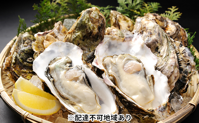 秀栄水産 瀬戸内の 牡蠣 殻つき 大満喫12kg前後 １缶丸ごと 海の幸 海のミルク 海鮮 貝 岡山県 瀬戸内市 虫明湾