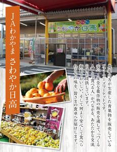 和歌山県 温州みかん 10kg【先行予約】※2025年12月初旬頃～順次発送予定(お届け日指定不可) / みかんみかんみかん 温州 和歌山県 由良町 ﾐｶﾝ【jahd004】