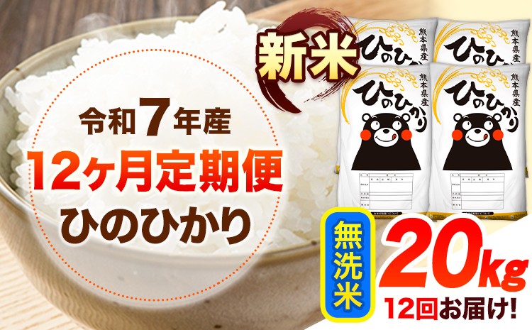 
            令和7年産【12ヶ月定期便】新米 無洗米 ひのひかり 20kg 《お申し込み月の翌月から出荷開始》 熊本県産 無洗米 精米 ひの 送料無料 熊本県 山江村 SDGs 米 コメ こめ 国産
          
